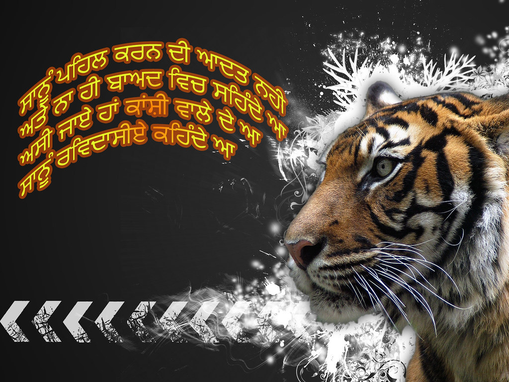Image For Love - Bengal Tiger Hd Wallpapers Download - HD Wallpaper 