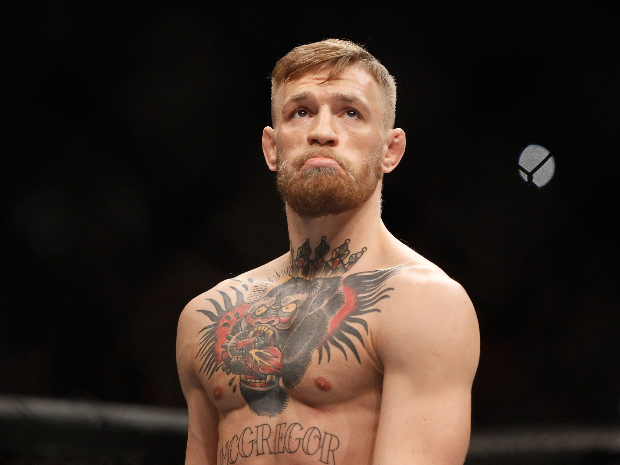 Conor Mcgregor Vs Nate Diaz - Conor Mcgregor Sad Face - HD Wallpaper 