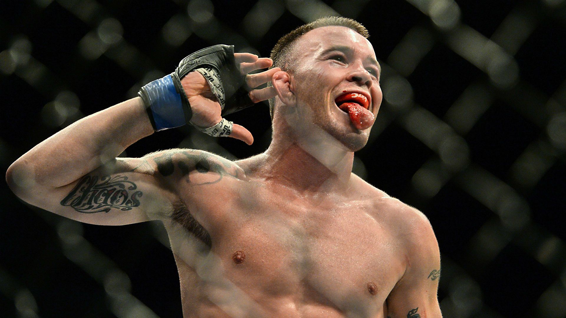 Colby Covington - HD Wallpaper 