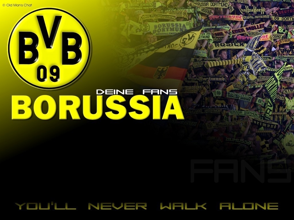 Borussia Dortmund Wallpaper Hd 2013 - Borussia Dortmund Wallpapers Hd - HD Wallpaper 