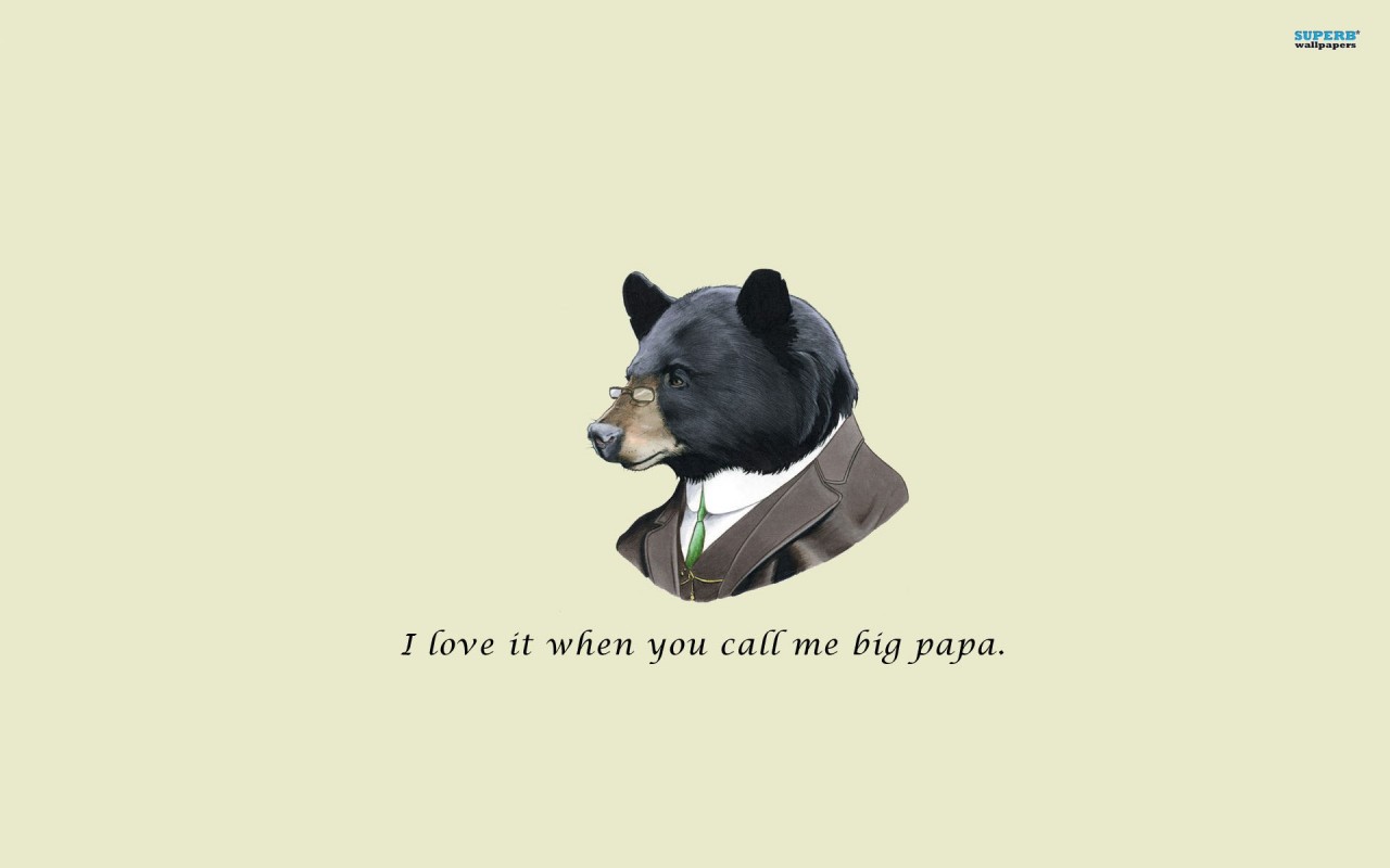 Call Me Big Poppa, Hipster, Love, Funny, High Wallpapers - Love It When You Call Me Big Papa Bear - HD Wallpaper 