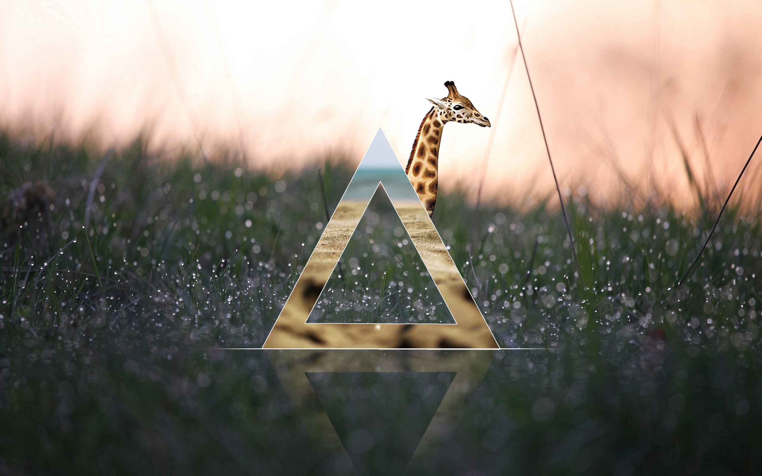 Wallpapers Hipster - HD Wallpaper 