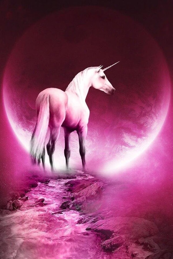 Unicorn Live Wallpaper - Real Unicorn Wallpaper For Iphone - HD Wallpaper 