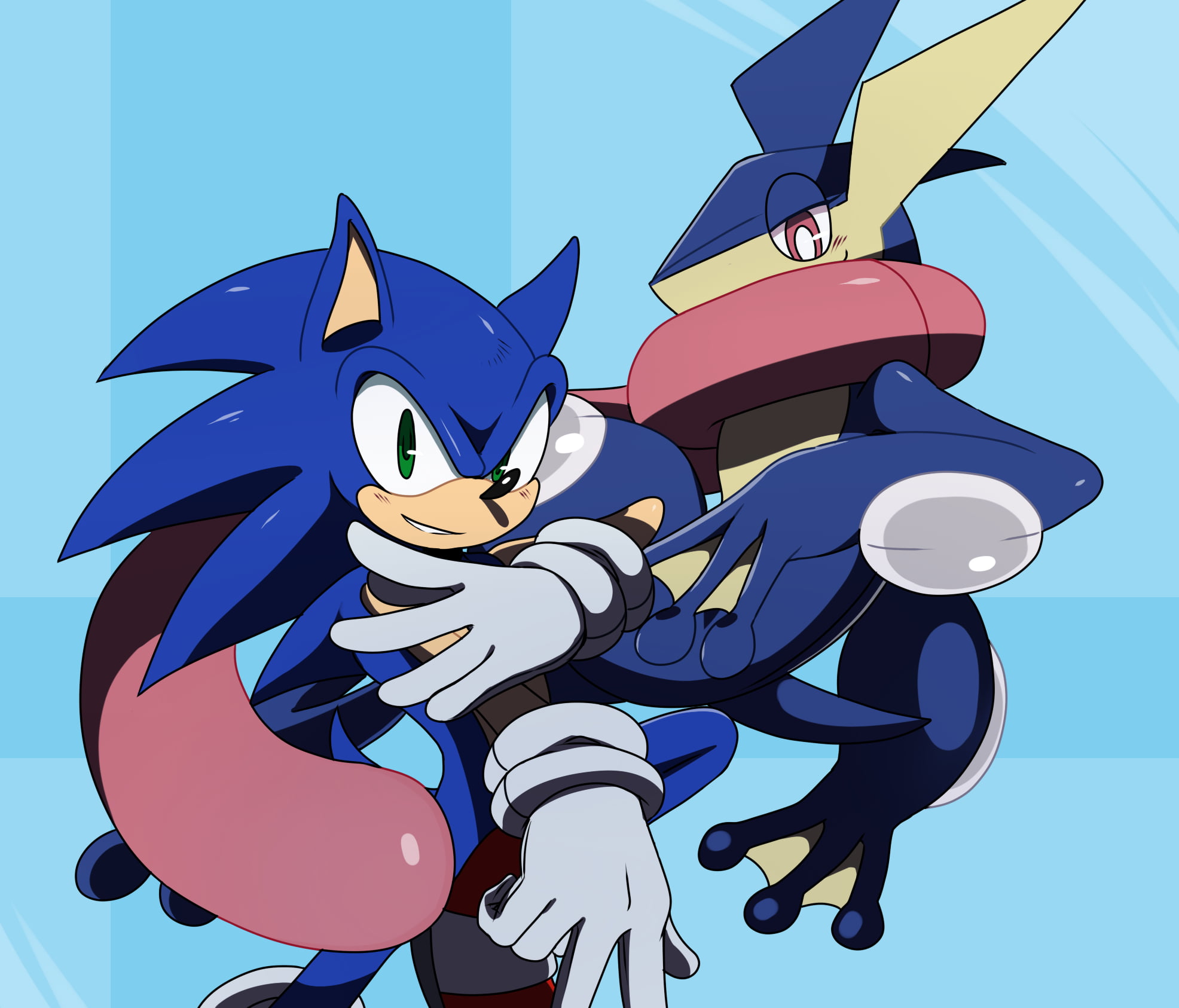 Super Smash Bros Ultimate Greninja And Sonic - HD Wallpaper 