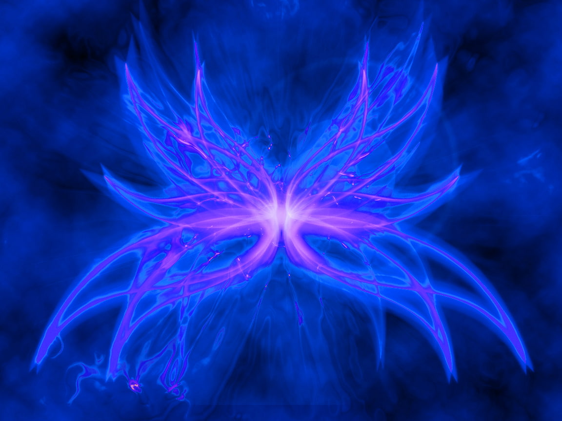 Wallpaper - HD Wallpaper 