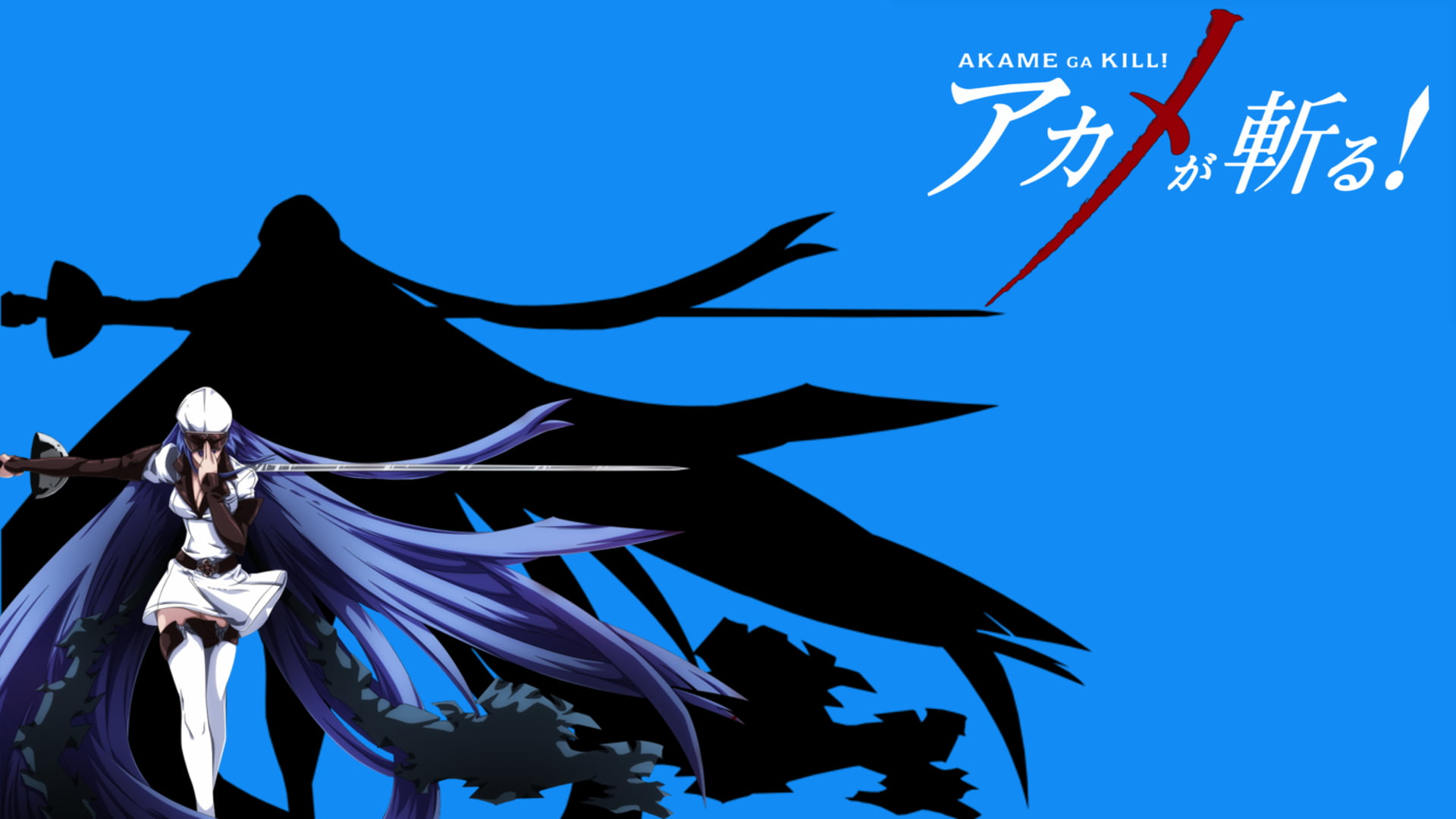 Animes Akame Ga Kill - HD Wallpaper 
