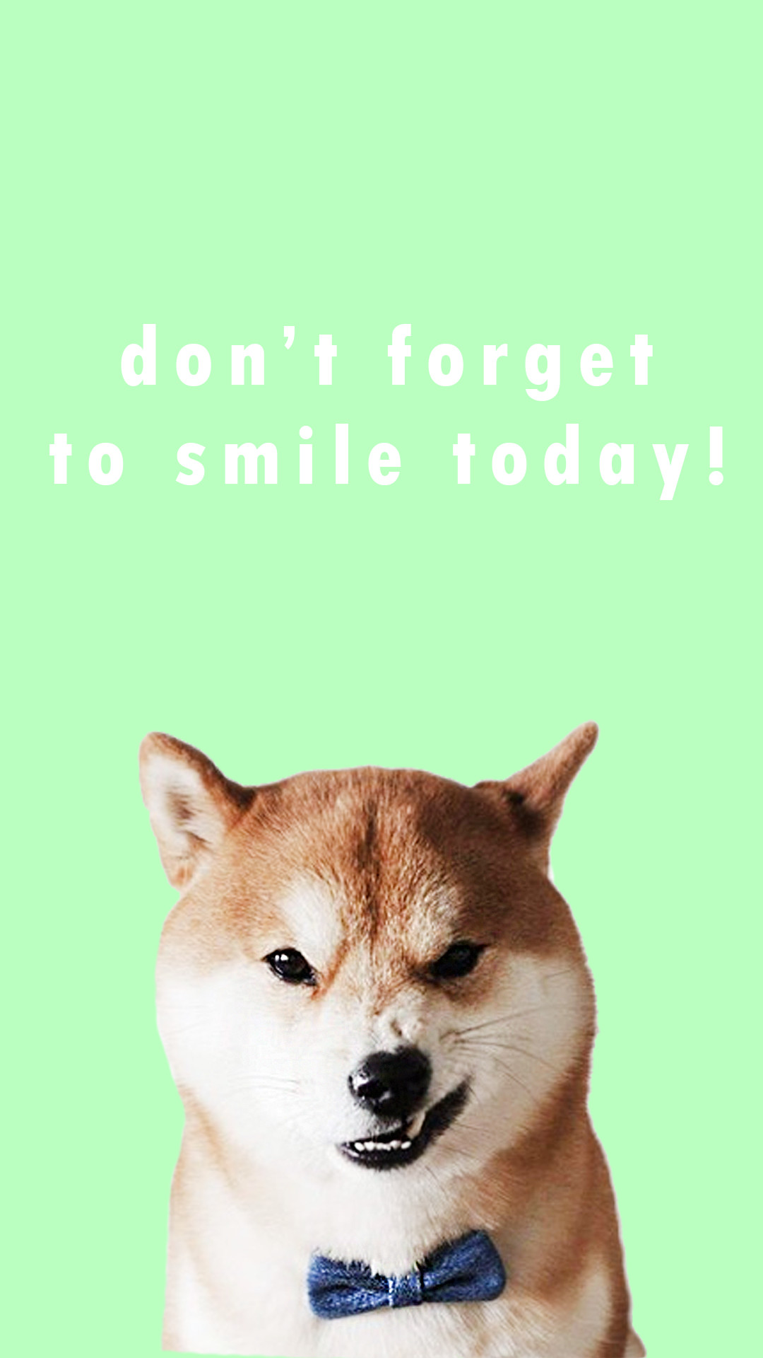 1080x1920, Shiba Inu Positive Lockscreen/wallpapers - Shiba Inu Wallpaper Phone - HD Wallpaper 