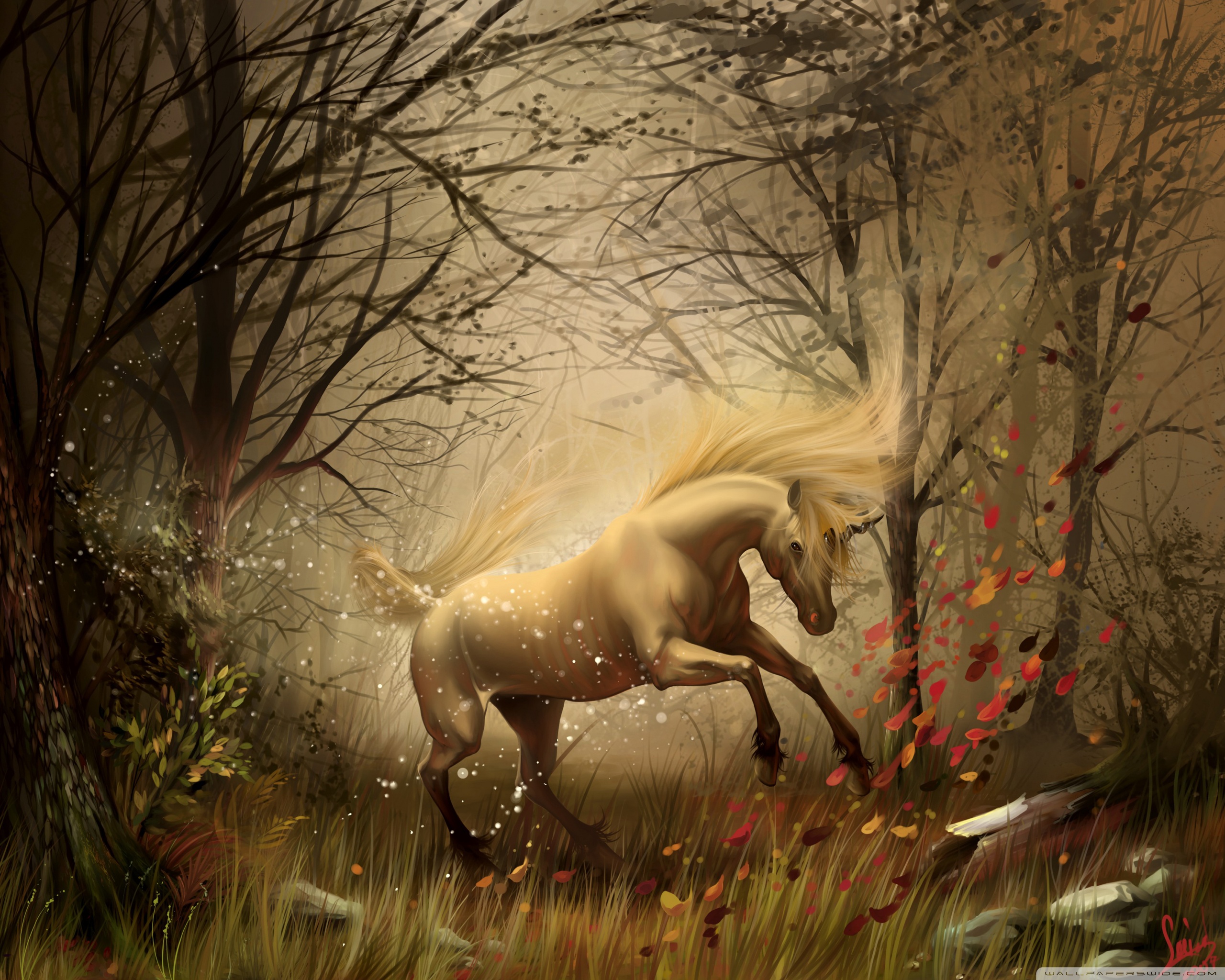Magic Horse - HD Wallpaper 