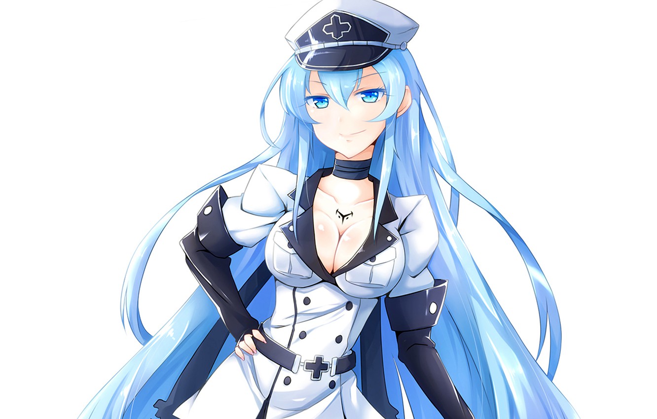 Photo Wallpaper Girl, Jaegers, Akame Ga Kill, Akame - Sexy Blue Haired Anime Girl - 1332x850 Wallpaper Photo Wallpaper Girl, Jaegers, Akame Ga Kill, Akame - Sexy Blue Haired Anime Girl - 1332x850 Wallpaper