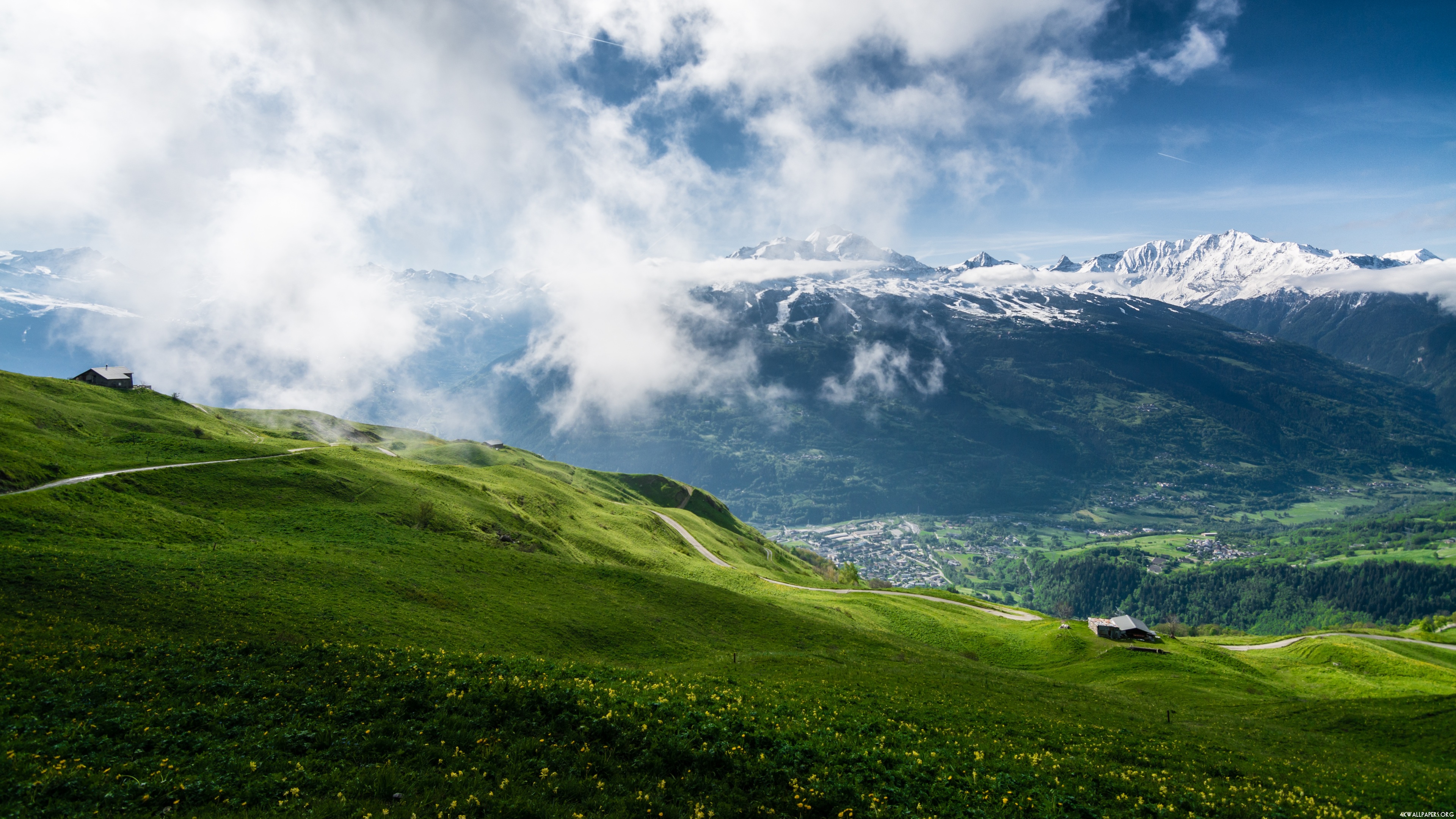 Mounatin Landscape Wallpaper - صور حيوانات في طبيعية - HD Wallpaper 