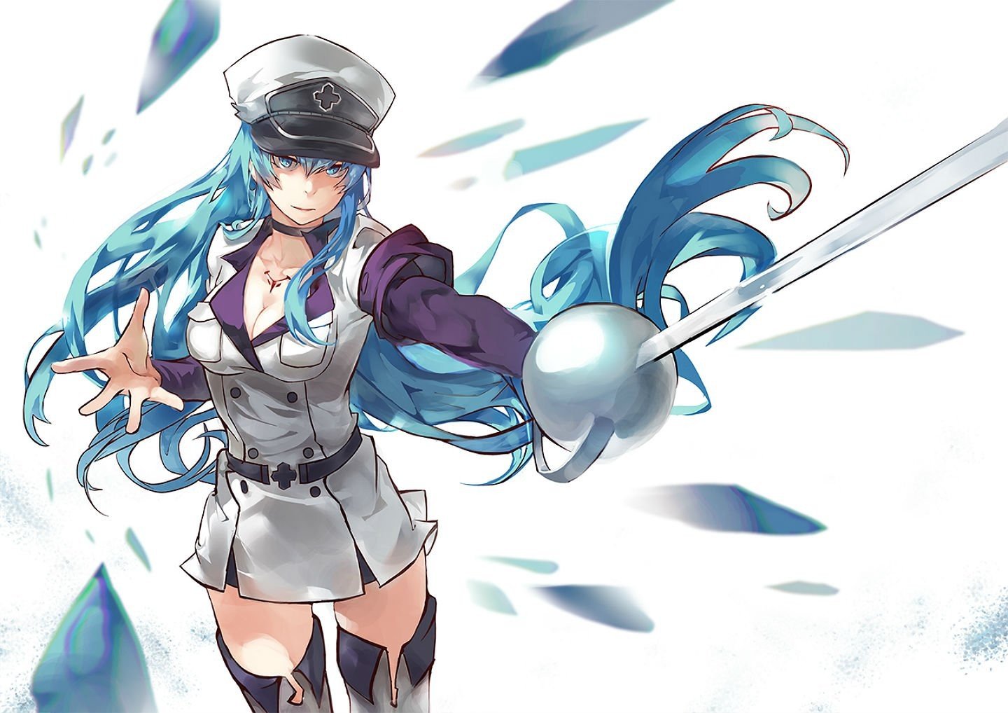 Esdeath Sword Akame Ga Kill - HD Wallpaper 