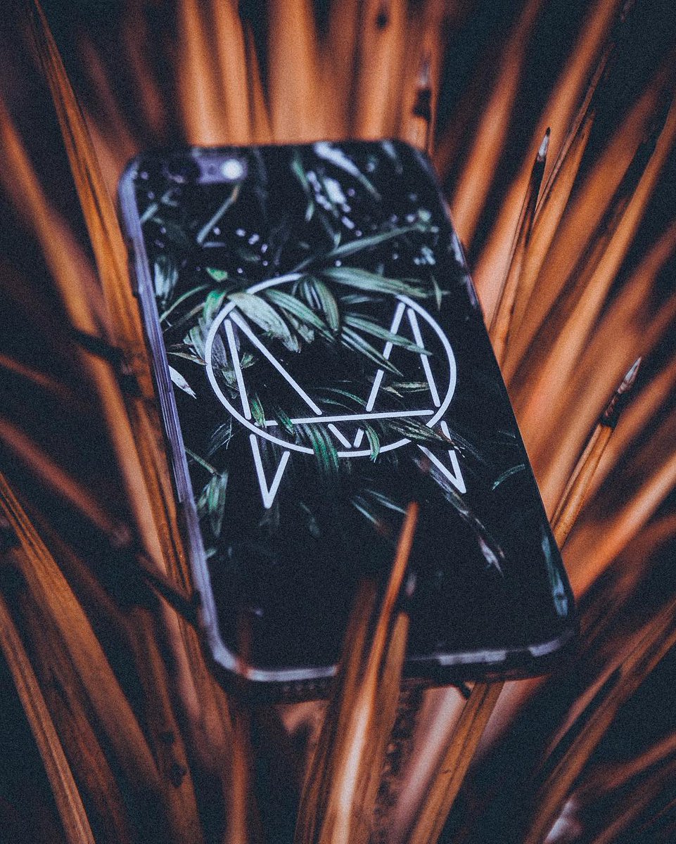 Jas Davis Owsla - HD Wallpaper 