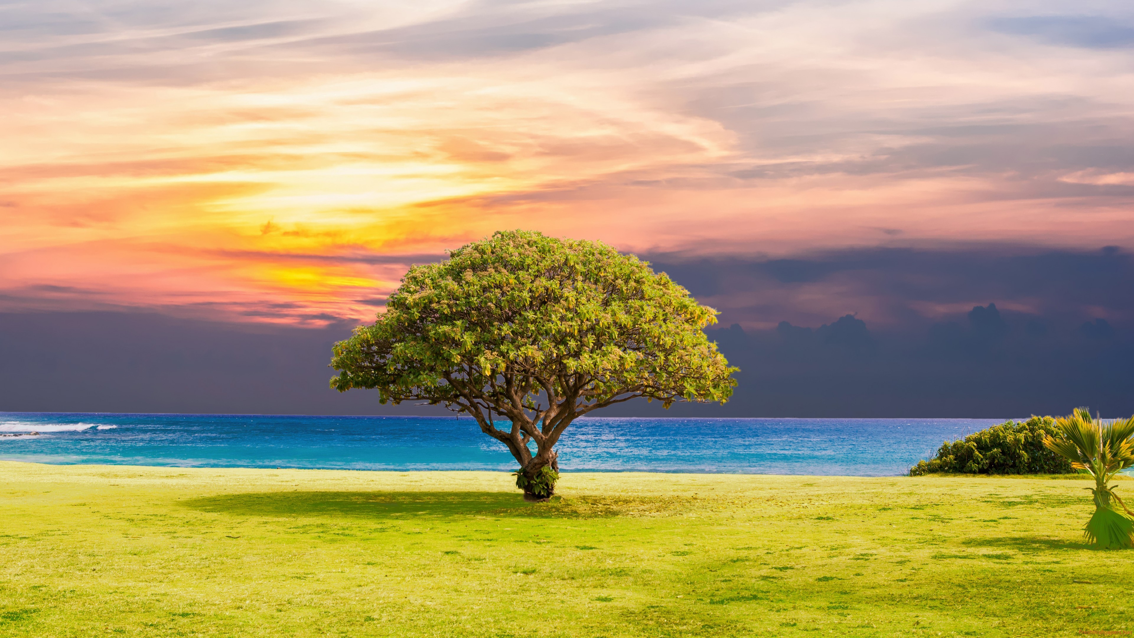 Download 4k Resolution 4k Landscape - Teahub.io