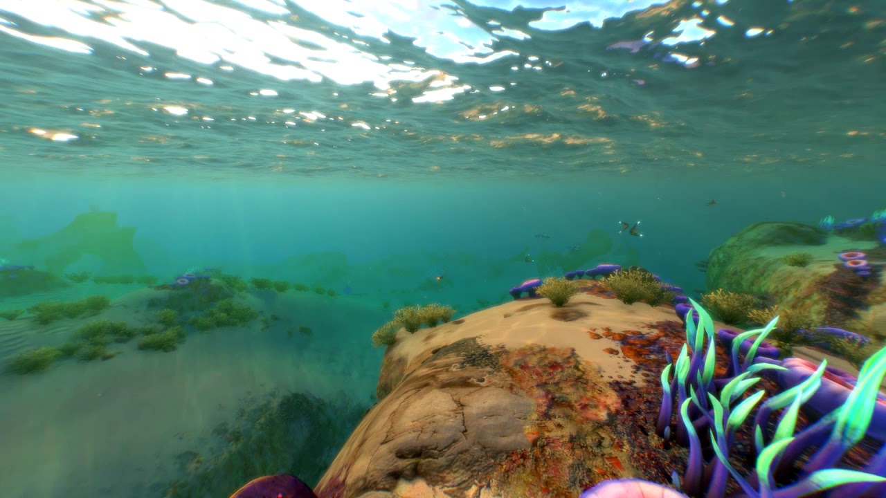 Subnautica Hd Background - HD Wallpaper 