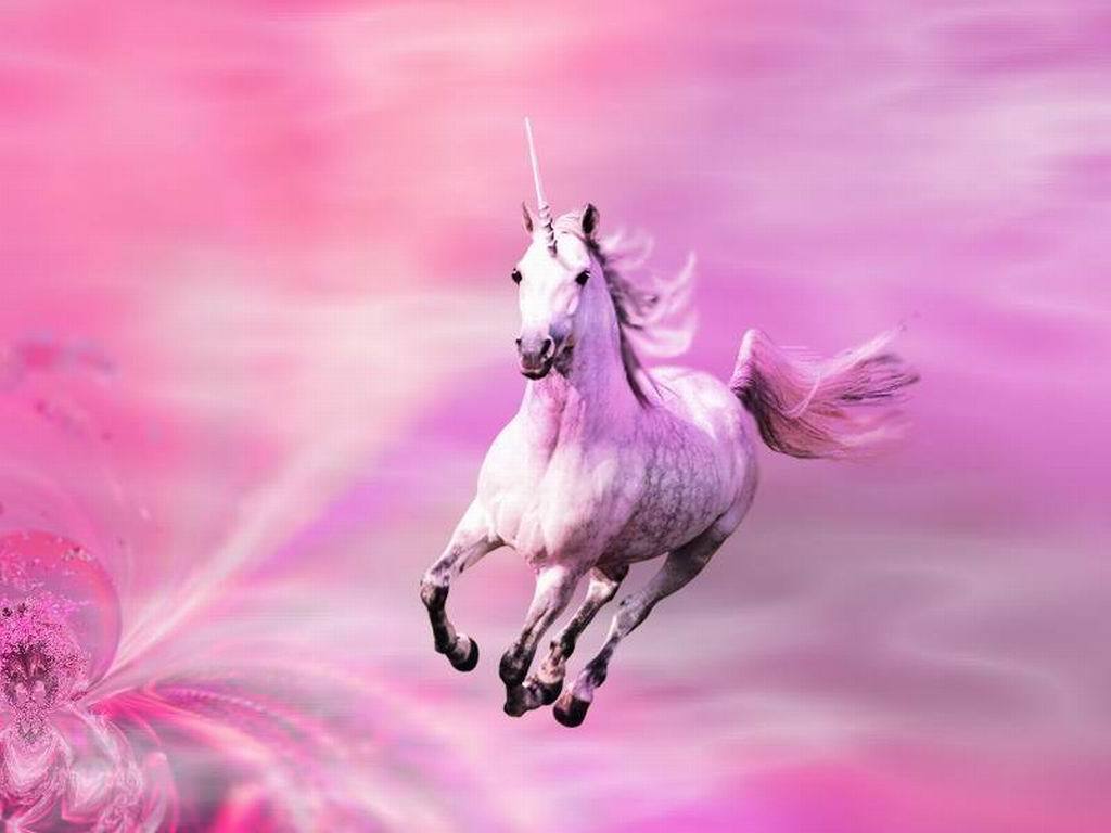 Unicorns Images Pink Shimmers Hd Wallpaper And Background - Pink Unicorns - HD Wallpaper 