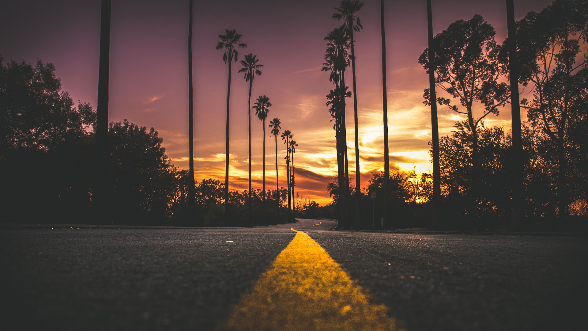 Sunset, Road, Landscape, Scenery, 4k, - Palm Tree Road Background - HD Wallpaper 