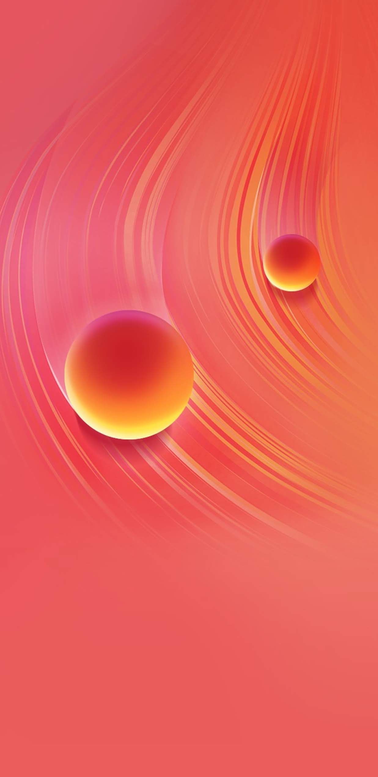 Macro Photography - HD Wallpaper 