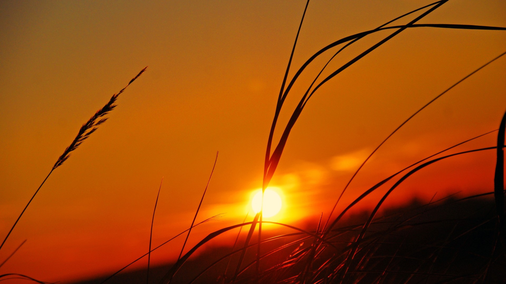 Sunset Wallpapers Hd Pixels Talk - Sun Set Wallpapers Hd - 1920x1080 Wallpaper Sunset Wallpapers Hd Pixels Talk - Sun Set Wallpapers Hd - 1920x1080 Wallpaper