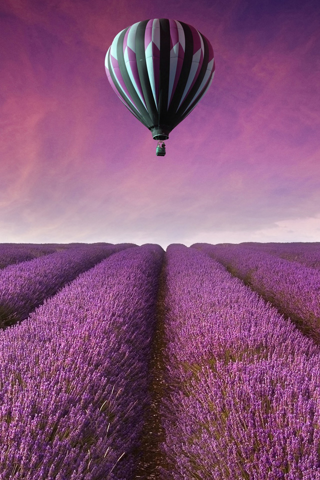 Hot Air Balloon Wallpaper - Lavender Wallpaper For Handphone - HD Wallpaper 