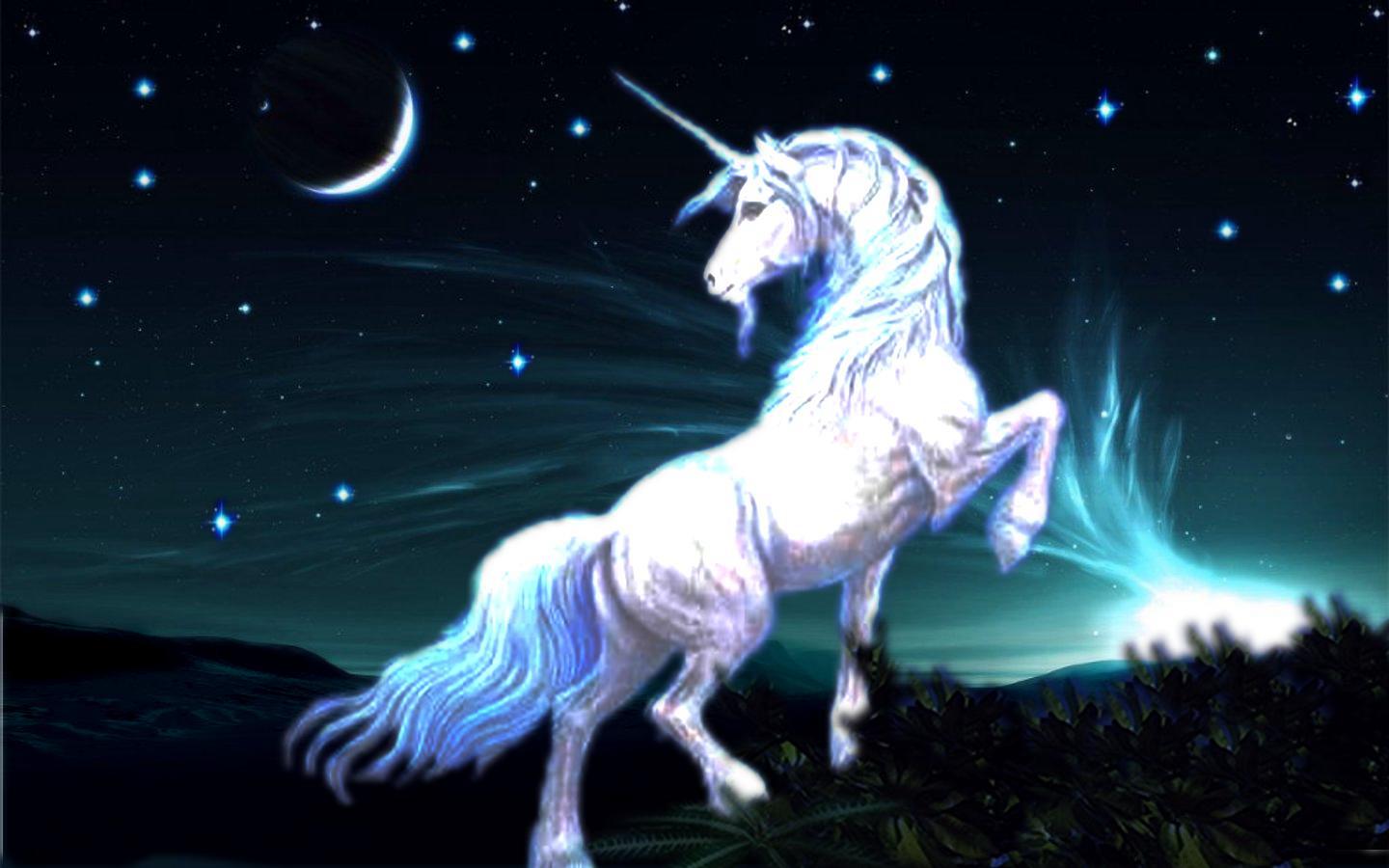 Unicorn Horses Wallpaper Hd - HD Wallpaper 