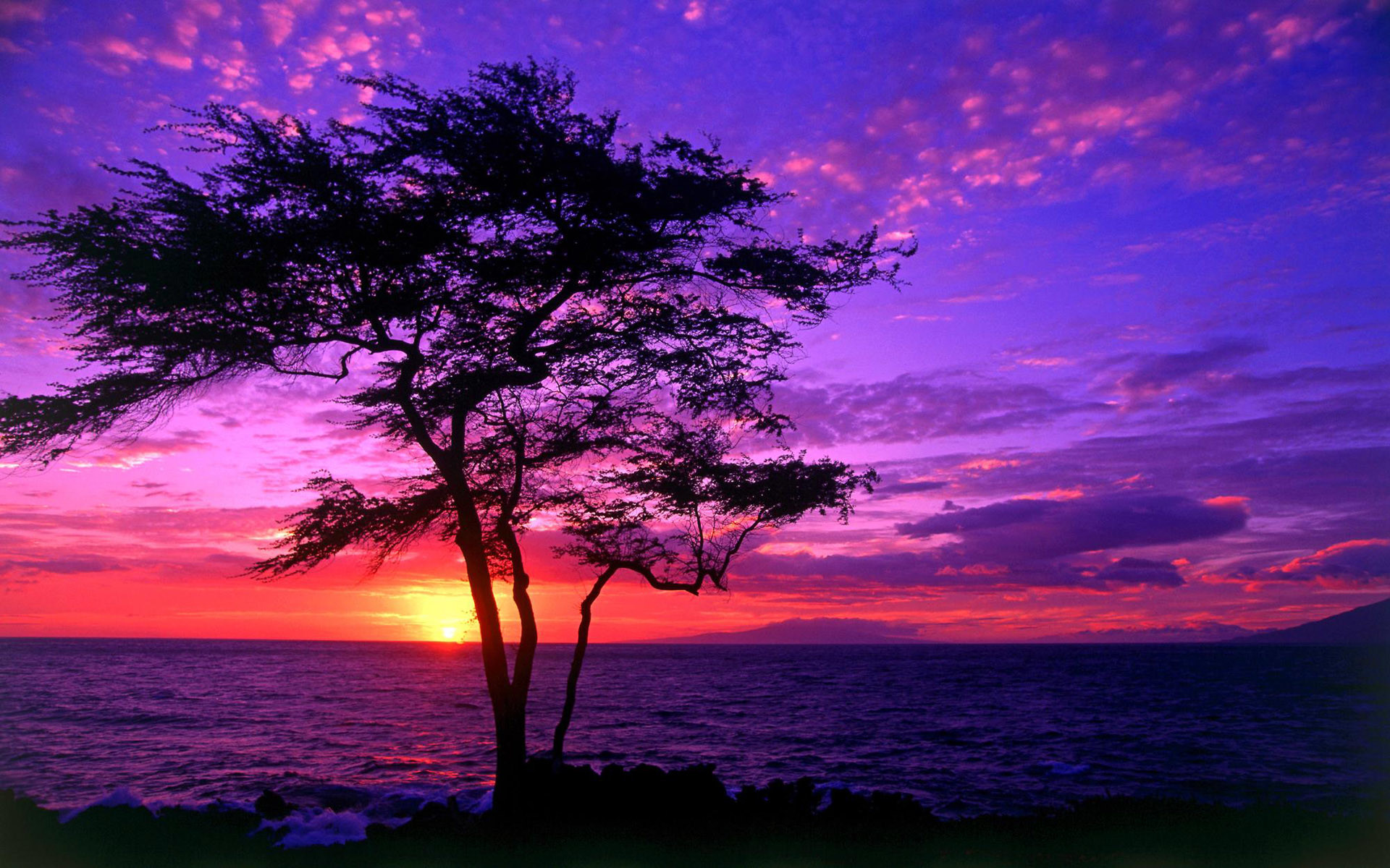 purple sunset wallpaper hd