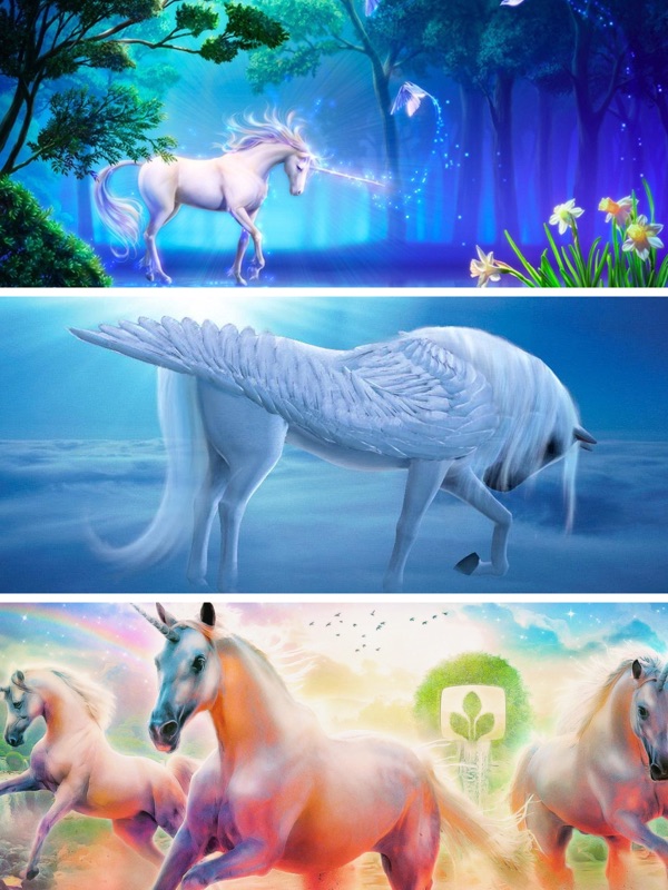 Rainbow Unicorn - HD Wallpaper 