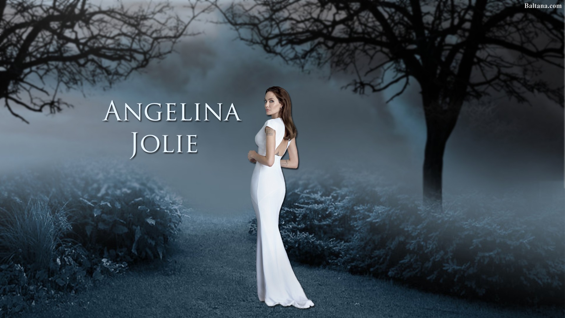 Angelina Jolie Hd Desktop Wallpaper - Desktop Wallpaper Angelina Jolie - HD Wallpaper 