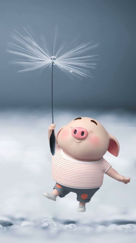 Ảnh Heo Hình Nền - HD Wallpaper 