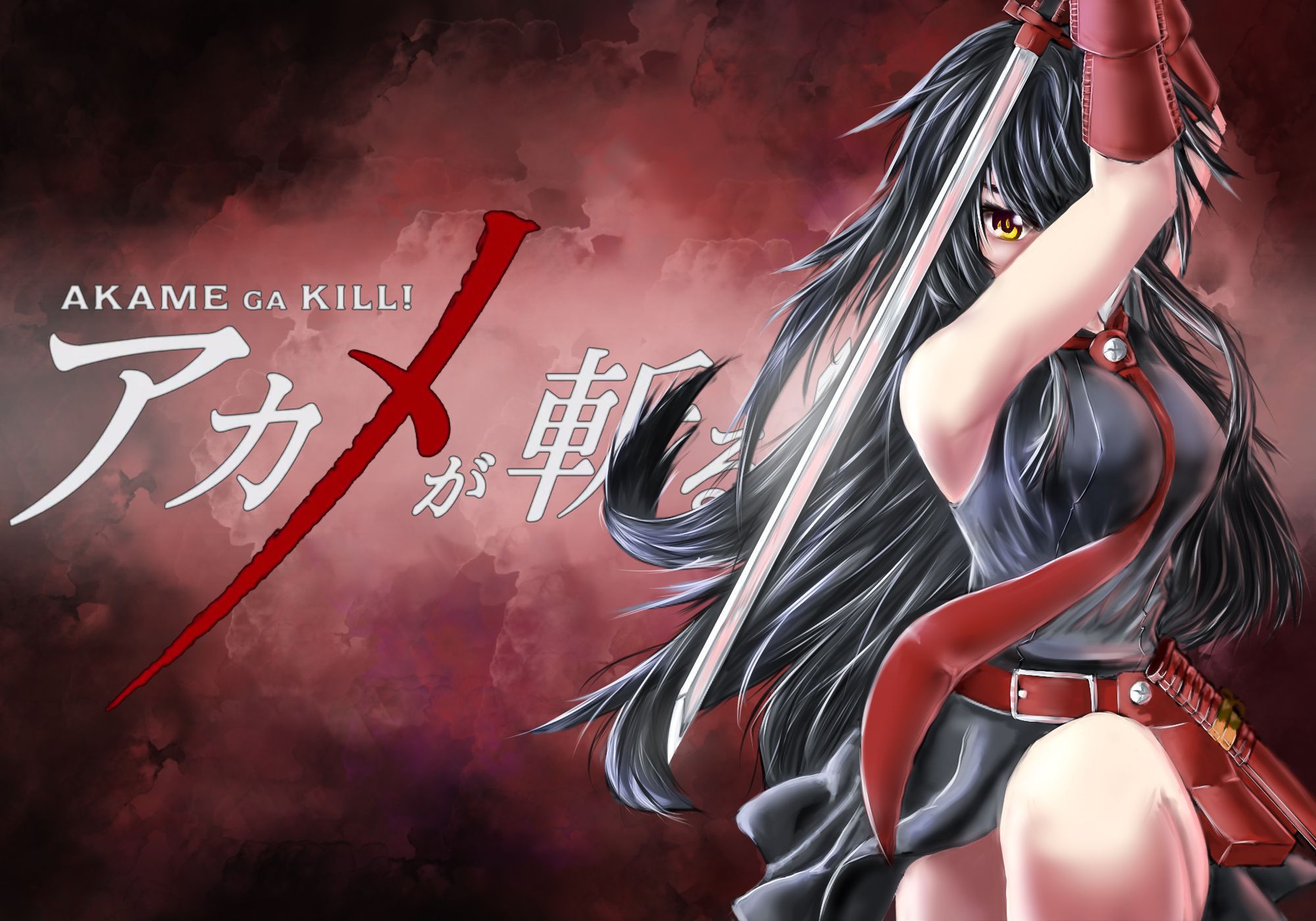 Akame Ga Kill 3d - HD Wallpaper 
