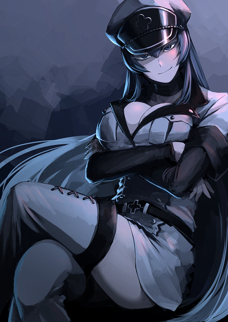 Esdeath Drawn By Hetza (hellshock) - Akame Ga Kill Esdeath Cool - HD Wallpaper 