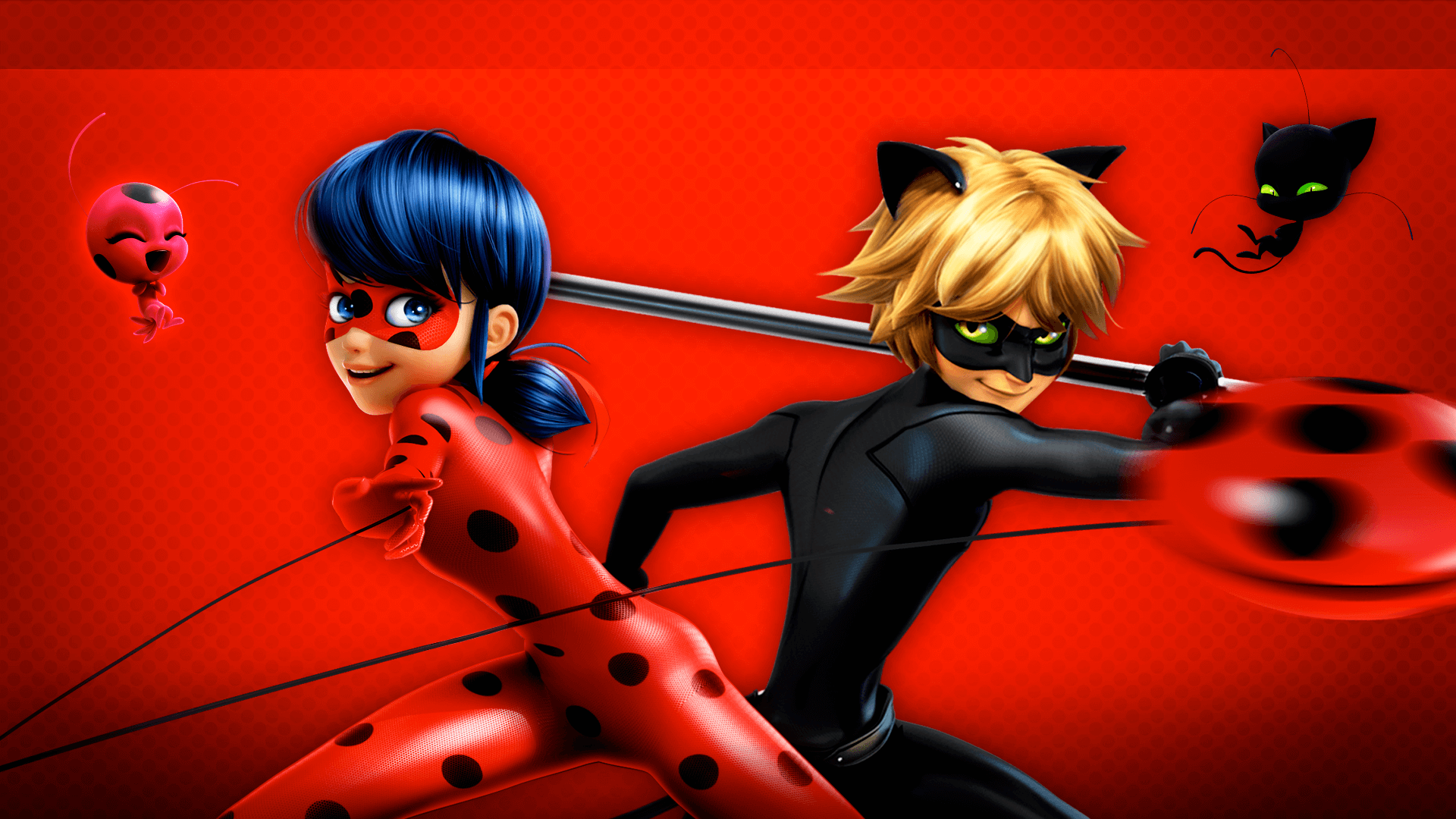 Ladybug E Cat Noir - HD Wallpaper 