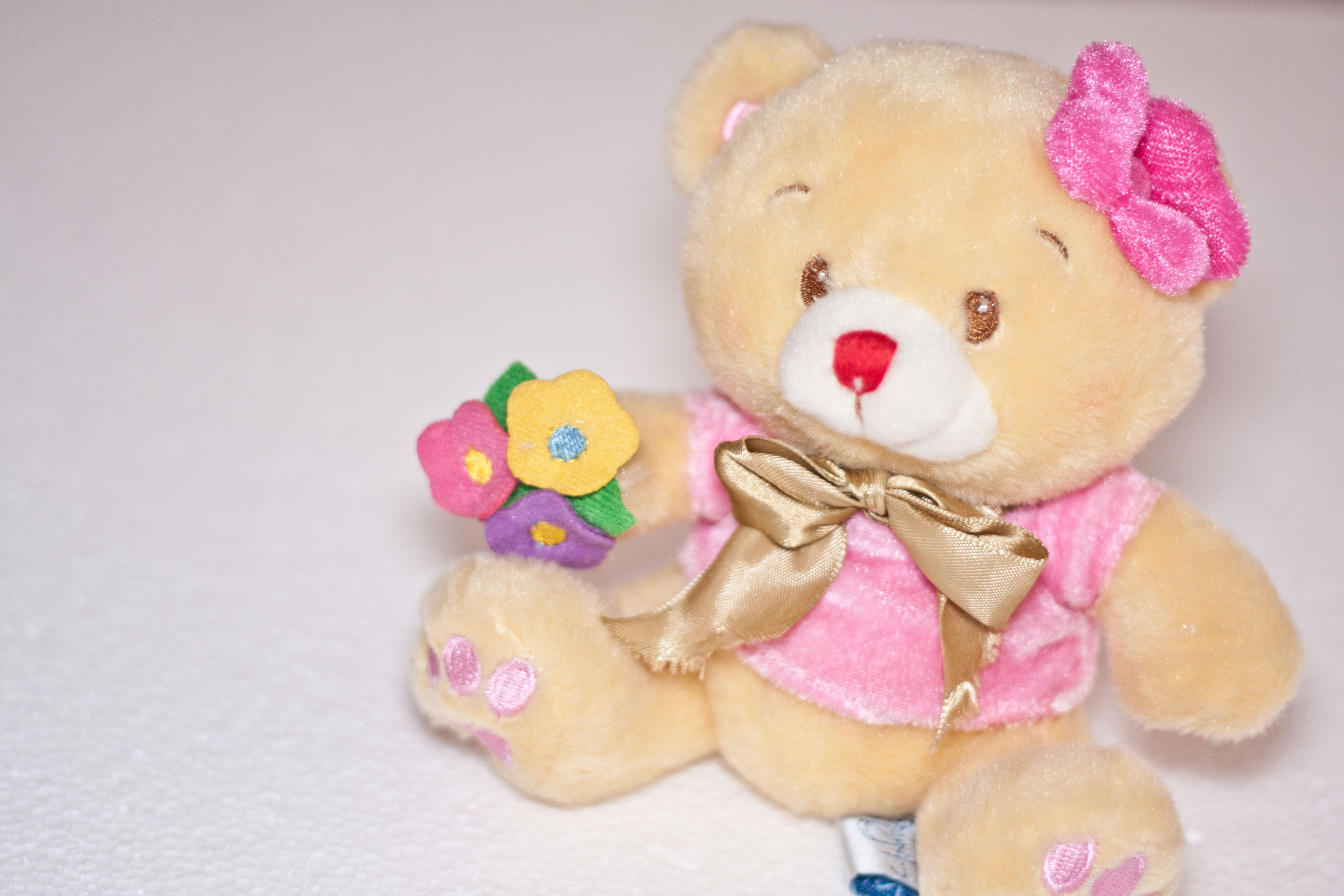How To Choose A Teddy Bearsteps - Teddy Bears Images Free Download - HD Wallpaper 