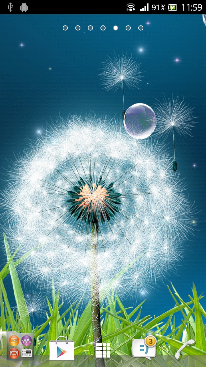 Dandelion - HD Wallpaper 