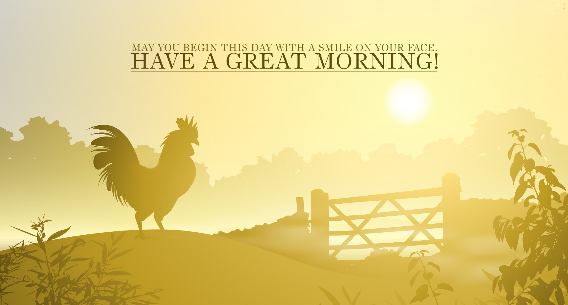 Good Morning Man Of God - HD Wallpaper 