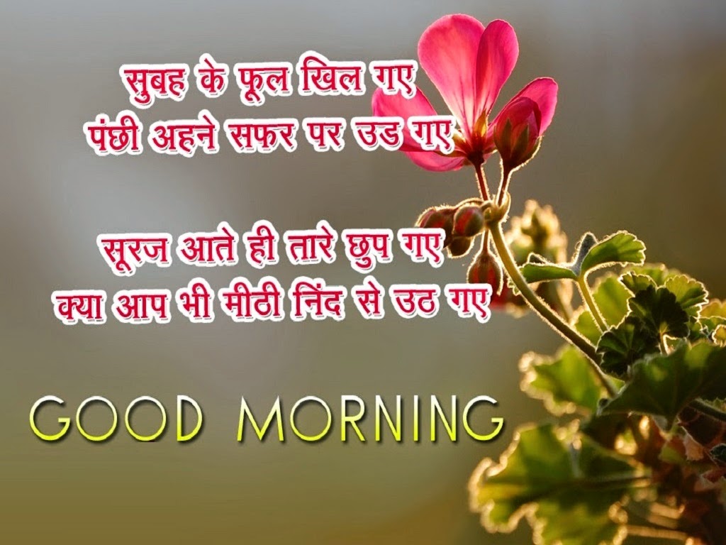 Good Morning Wishes Quotes In Hindi - Good Morning Hd Shayari - HD Wallpaper 
