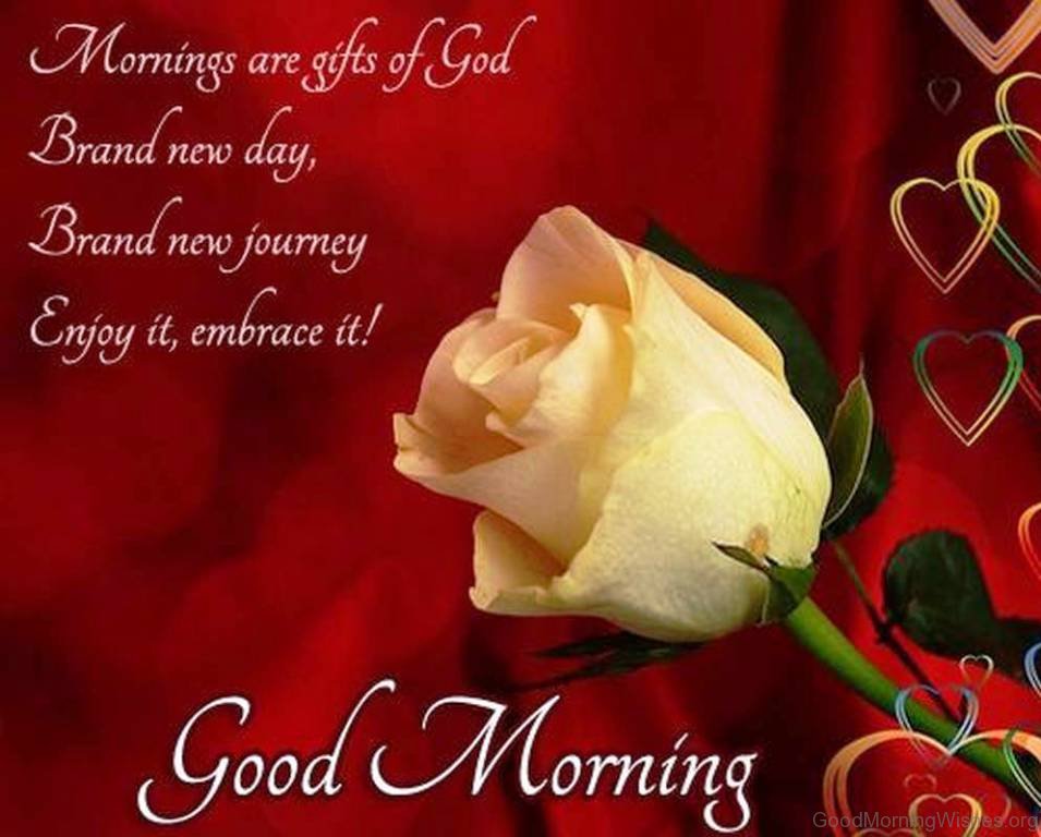 Lovely Good Morning Hd Wallpapers - Lovely Good Morning Wishes - 955x768 Wallpaper Lovely Good Morning Hd Wallpapers - Lovely Good Morning Wishes - 955x768 Wallpaper