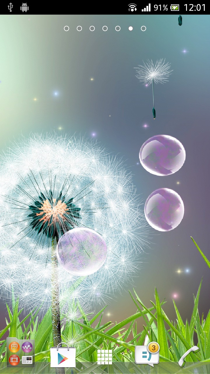 Dandelion - HD Wallpaper 