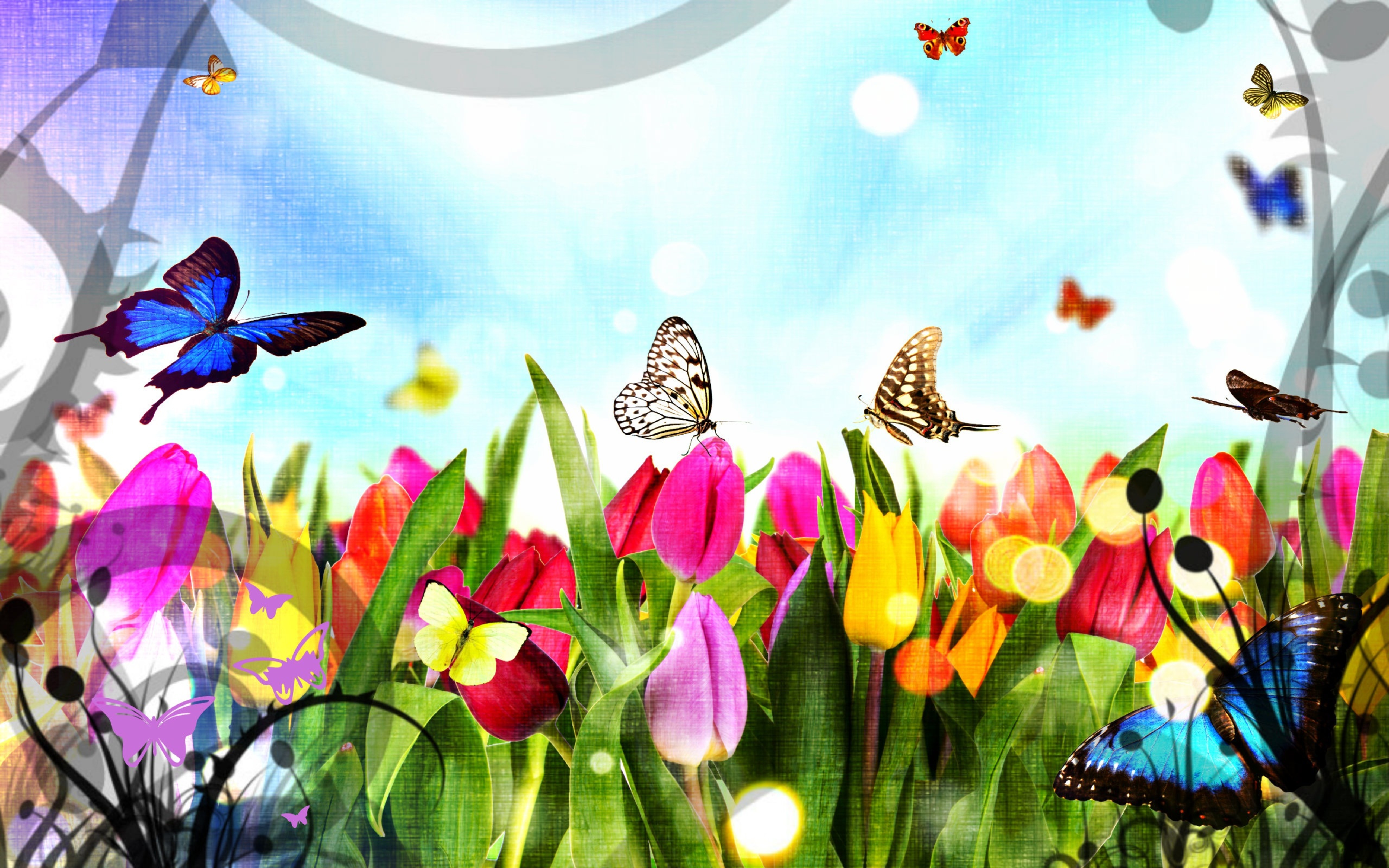 Butterfly Garden Background - HD Wallpaper 