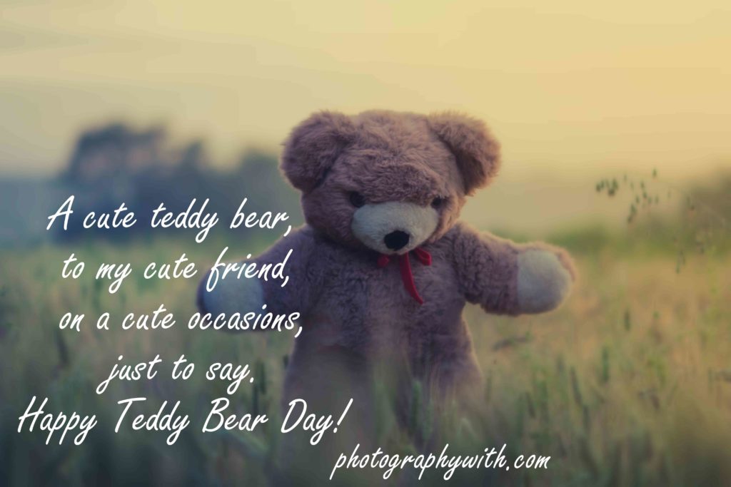 Quotes boyfriend teddy bear Happy Teddy