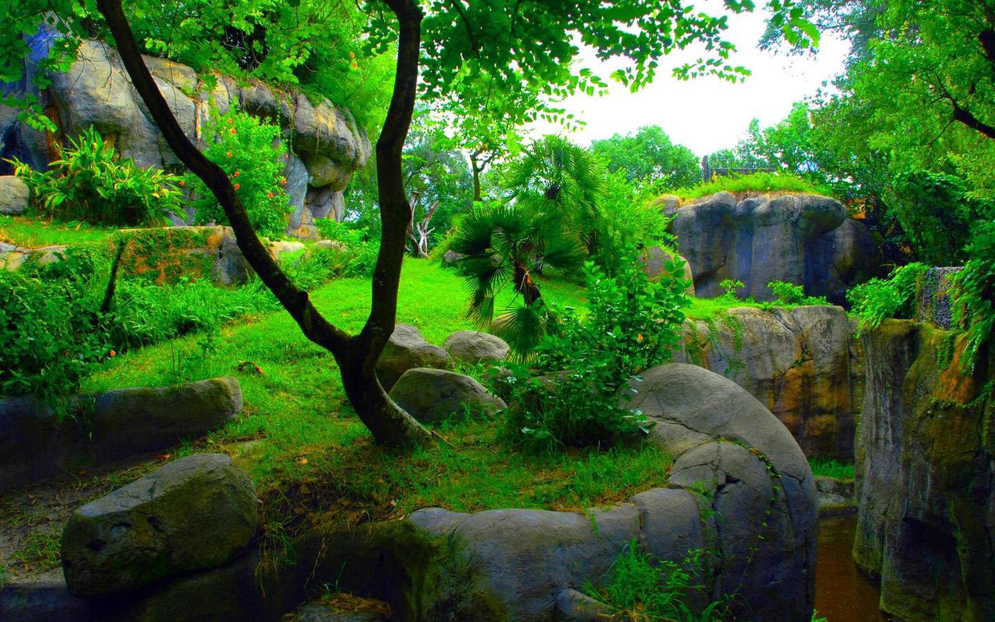 3d Hd Wallpaper 1080p - HD Wallpaper 