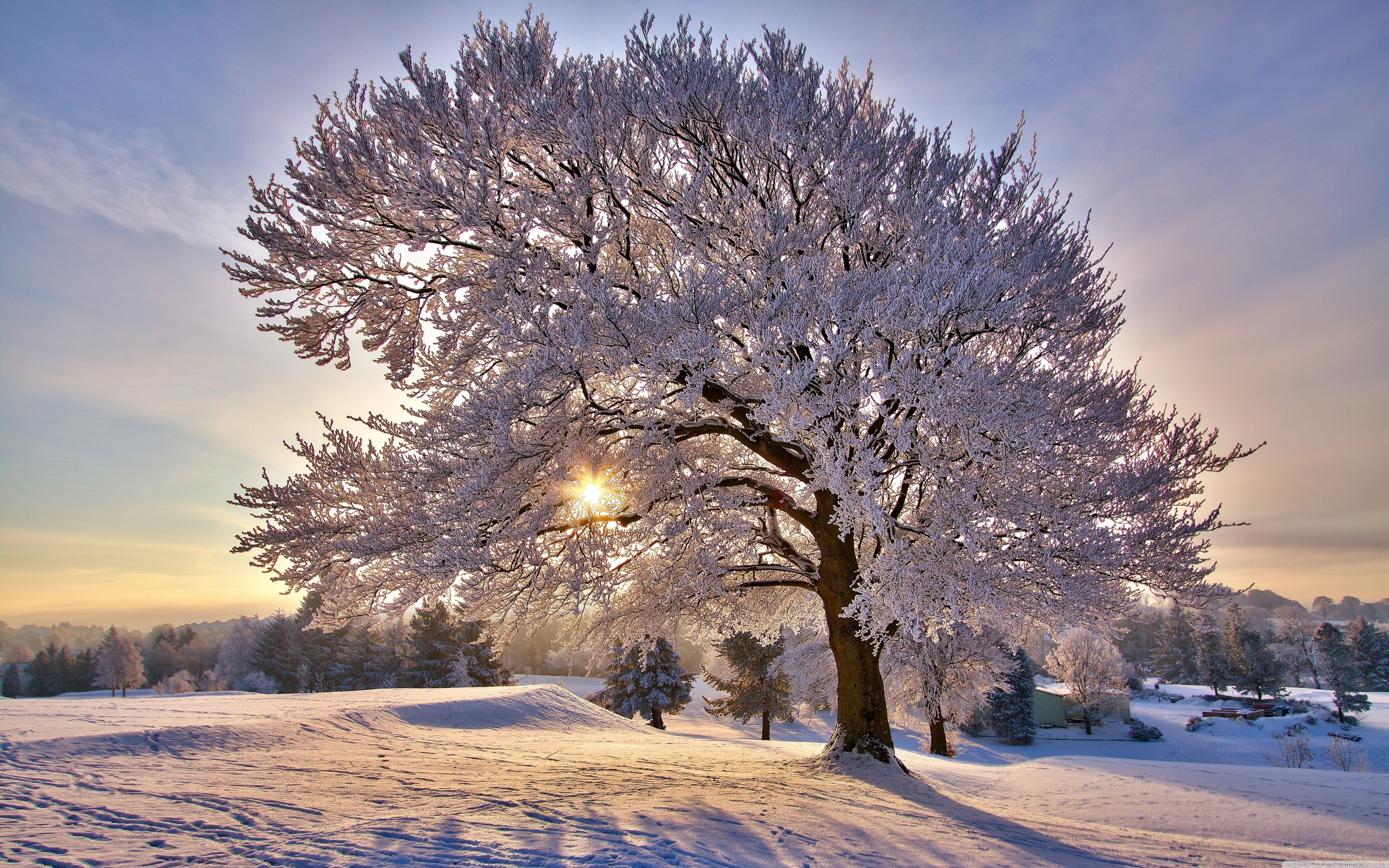 Beautiful Winter Morning - HD Wallpaper 