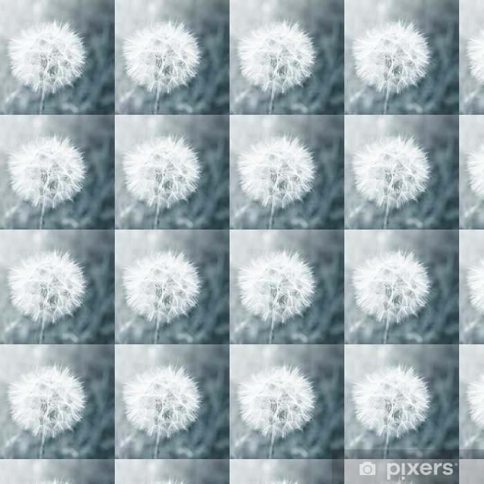 Dandelion - HD Wallpaper 