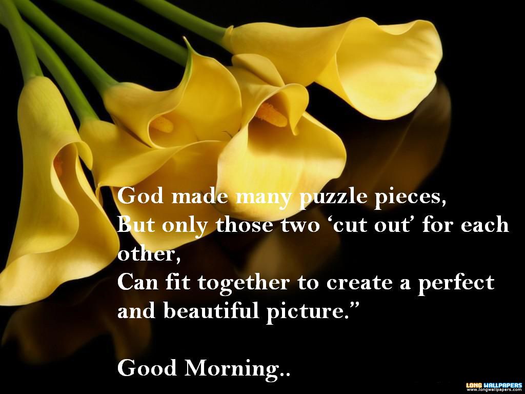 Good Morning Images With Flower Quotes - HD Wallpaper 