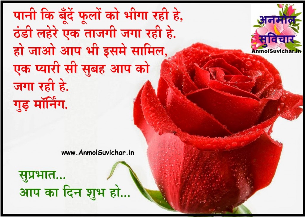 Good Morning Wishes In Hindi Picture - Good Morning Love Hindi - HD Wallpaper 