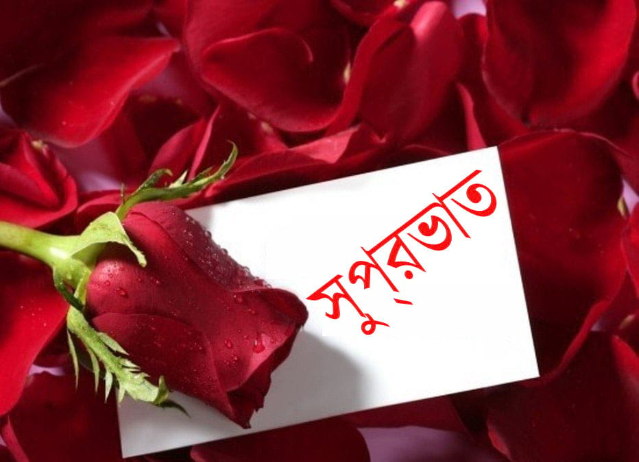 Bengali Romantic Good Morning Wishes - True Love Good Morning Heart - HD Wallpaper 