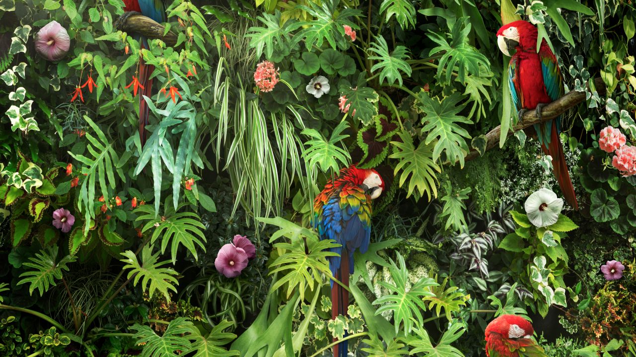 Desktop Wallpaper Jungle Leaves - HD Wallpaper 