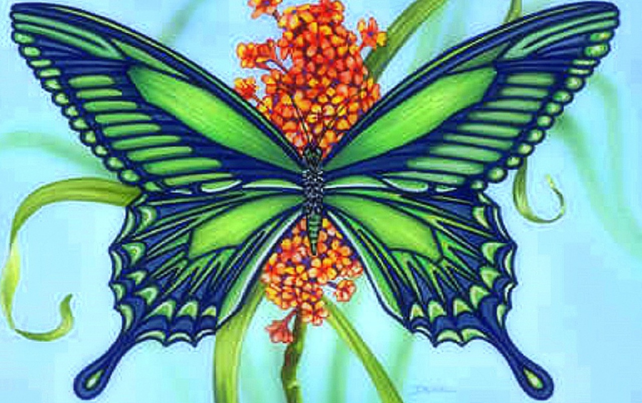 Green Blue Butterfly & Flower Wallpapers - Fondos De Pantalla De Mariposas Verdes - HD Wallpaper 
