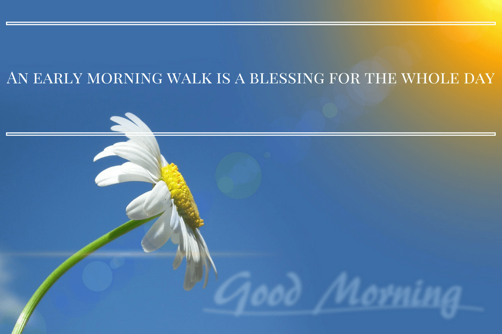 Good Morning Wallpapers With Love Quotes - Good Morning Love Quotes - HD Wallpaper 