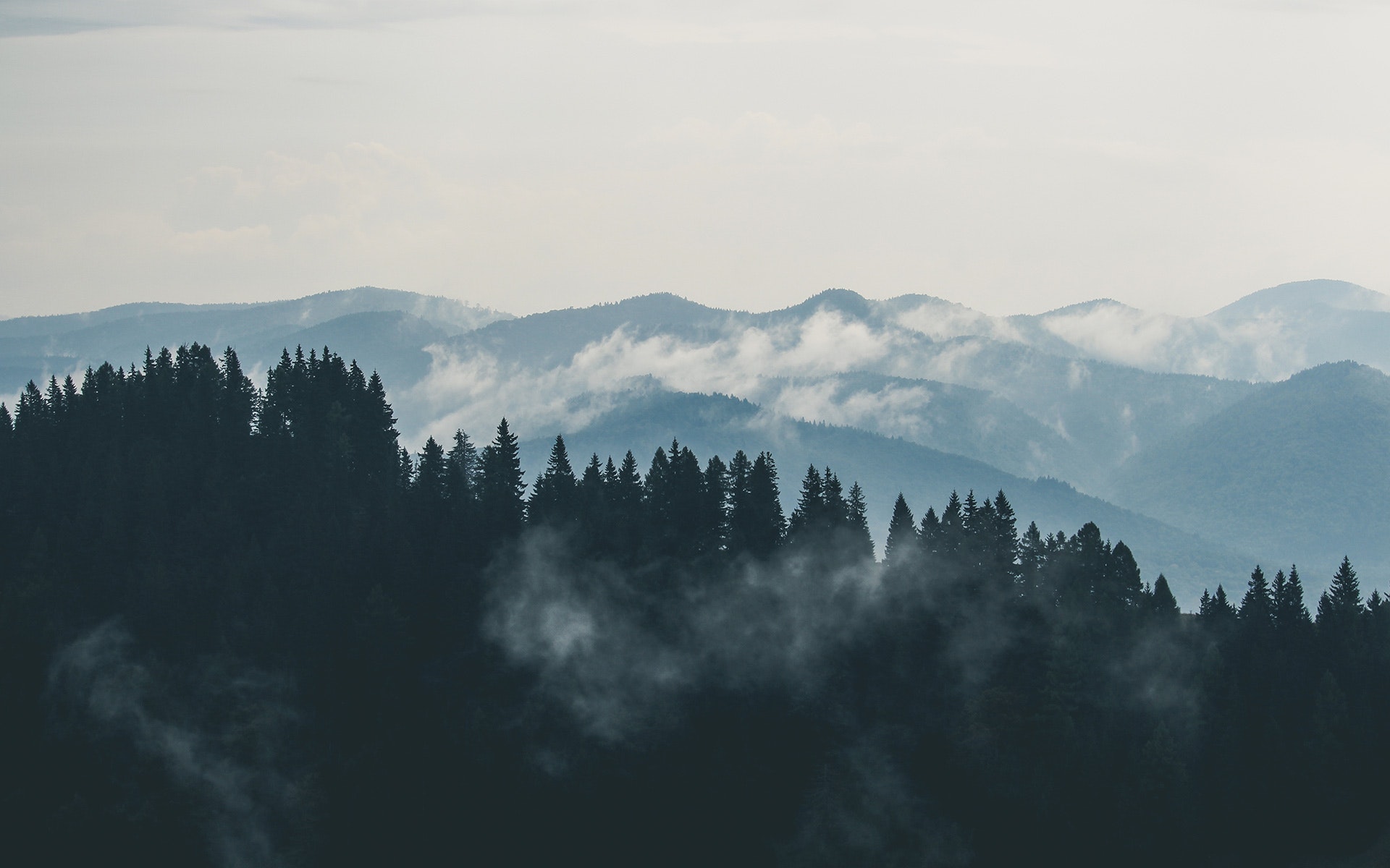 Mountain And Fog And Cloud - HD Wallpaper 