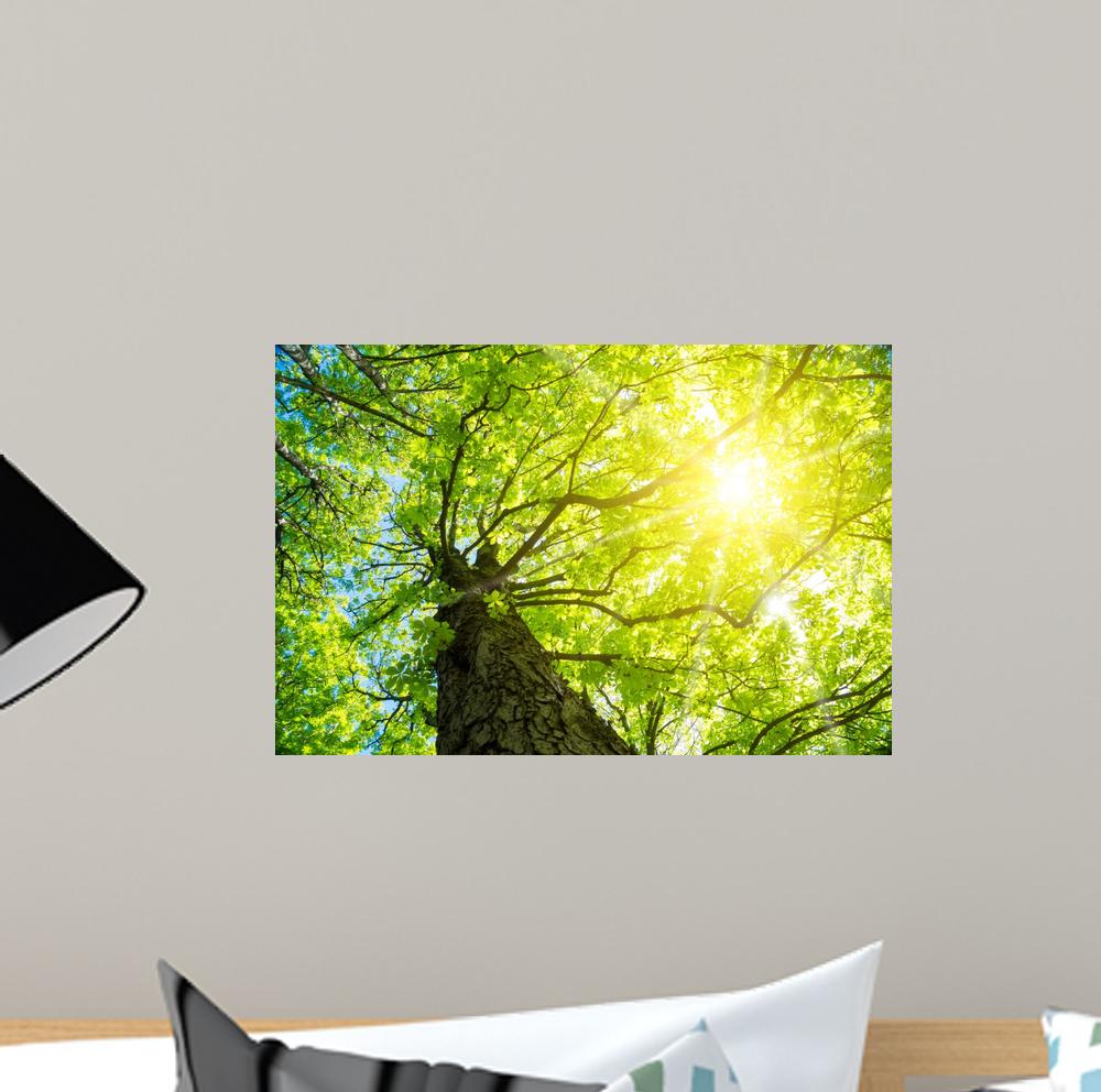 Positive Notes On Wall - HD Wallpaper 